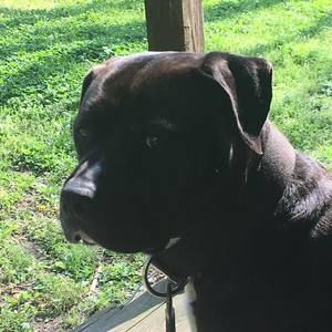 Meet your Posher, Liam